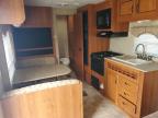 2010 Cata Trailer for Sale in Cahokia Heights, IL - Hail