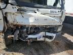 2019 Mitsubishi Fuso Truck Of America Inc Fe Feczts for Sale in Knightdale, NC - Front End