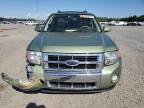 2010 Ford Escape Hybrid na sprzedaż w Lumberton, NC - Front End