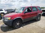 2006 Ford Escape Xls for Sale in Indianapolis, IN - Side