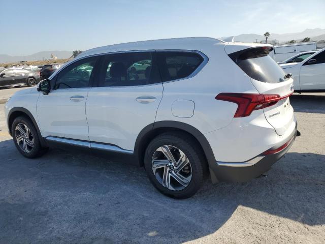  HYUNDAI SANTA FE 2023 Белый