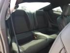 2024 Ford Mustang  for Sale in Temple, TX - Front End