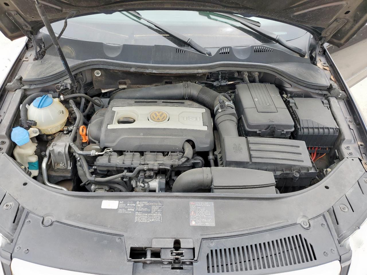 2008 Volkswagen Passat Lux VIN: WVWEK73C68E209255 Lot: 57146235