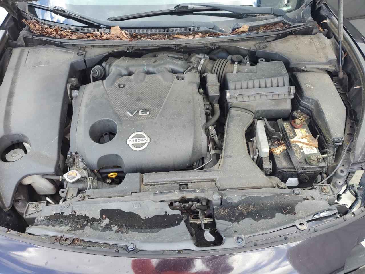 2010 Nissan Maxima S VIN: 1N4AA5AP8AC858719 Lot: 52701705