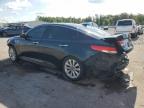 2017 Kia Optima Ex zu verkaufen in Apopka, FL - Rear End
