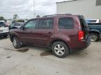 2009 Honda Pilot Exl na sprzedaż w New Orleans, LA - Front End