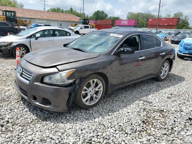 Sedans NISSAN MAXIMA 2012 Brown