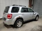 2010 Ford Escape Limited продається в Leroy, NY - Vandalism