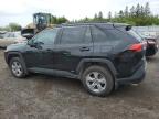 2025 TOYOTA RAV4 XLE for sale at Copart ON - TORONTO