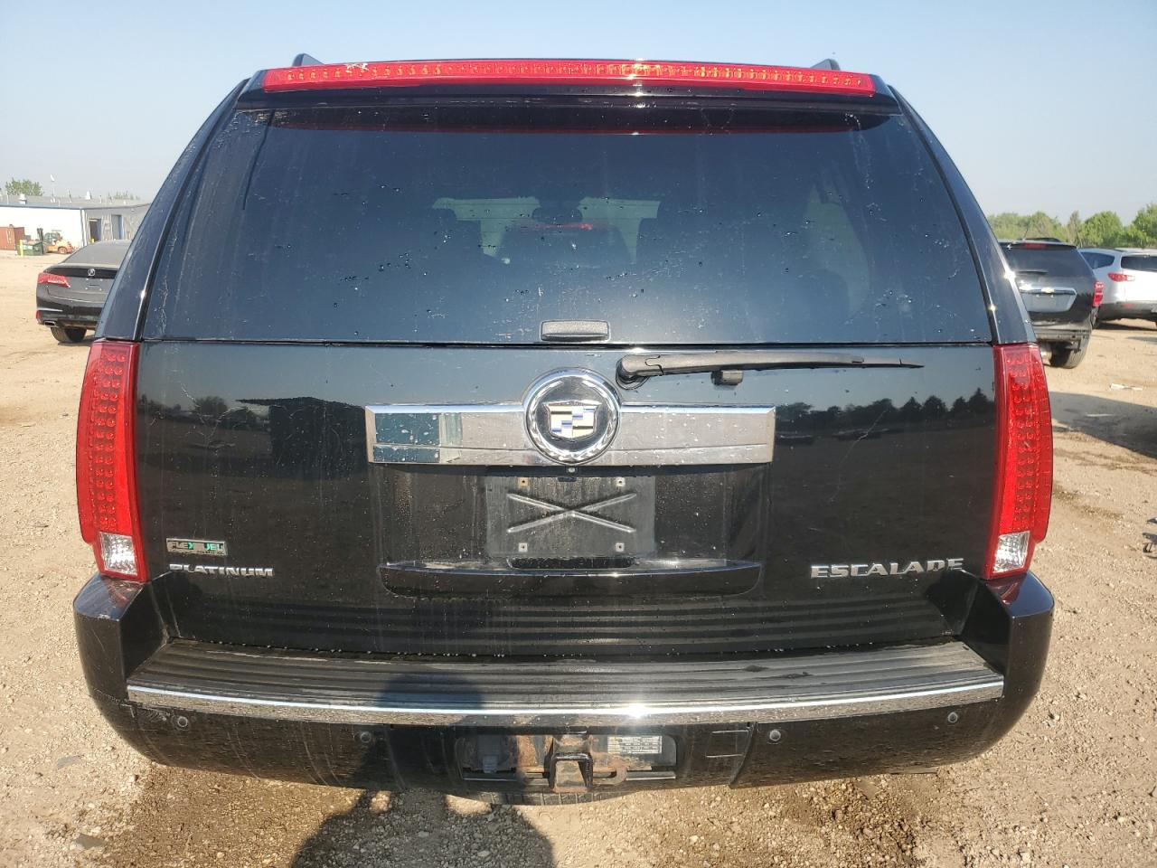 2010 Cadillac Escalade Platinum VIN: 1GYUKDEF0AR259336 Lot: 56715855