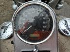 2004 Harley-Davidson Flstci  for Sale in Woodhaven, MI - Rear End