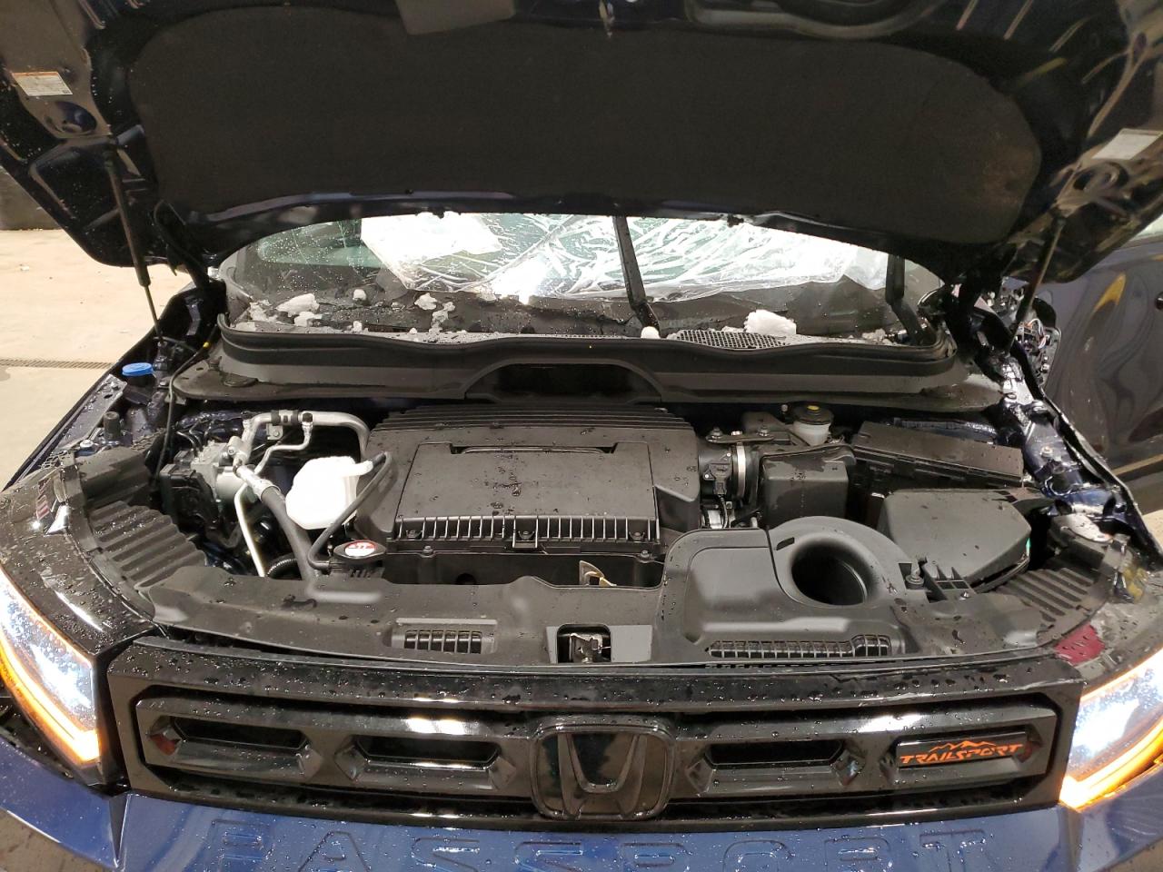 2026 Honda Passport Trailsport Elite VIN: 5FNYF9H89TB006238 Lot: 55845675