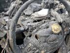 2014 Kia Sorento Ex   na sprzedaż w Houston, TX - Burn