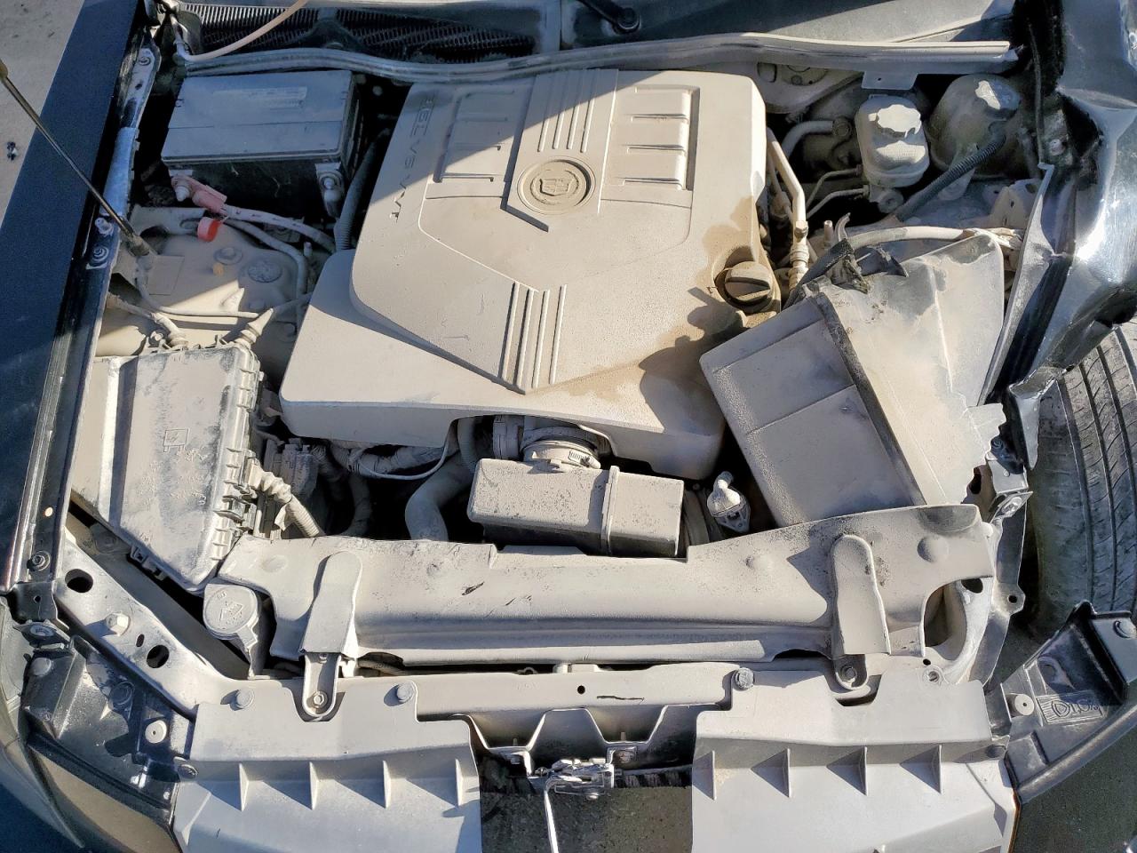 2007 Cadillac Cts VIN: 1G6DM57T670196803 Lot: 68873074