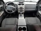 2009 Ford Escape Xlt for Sale in Bridgeton, MO - Minor Dent/Scratches