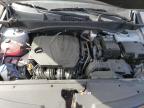 2024 Kia Sportage X Line na sprzedaż w Chicago Heights, IL - All Over