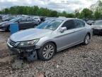 2013 Honda Accord Exl for Sale in Chalfont, PA - Front End