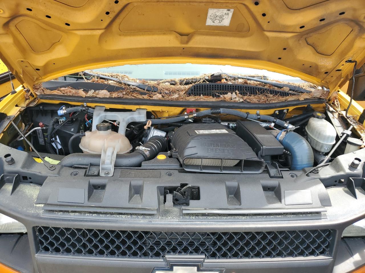 2007 Chevrolet Express G3500 VIN: 1GBJG316871231175 Lot: 56941455