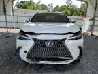 2022 Lexus Nx 350   for Sale in Augusta, GA - Front End