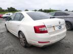 2015 SKODA OCTAVIA SE for sale at Copart BELFAST
