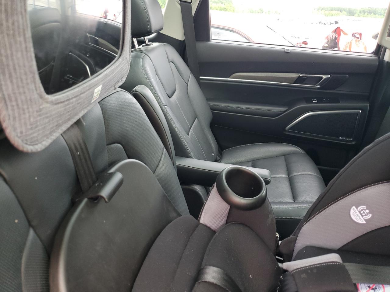 2022 Kia Telluride Sx VIN: 5XYP5DHC7NG254246 Lot: 59158355
