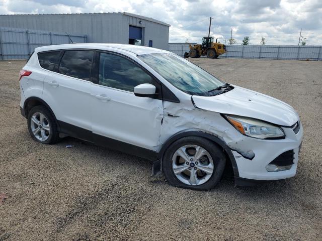  FORD ESCAPE 2013 White