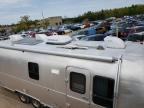 1999 Airstream Traveltrai de vânzare în Kincheloe, MI - Hail