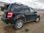 2012 Ford Escape Xlt продається в Bismarck, ND - All Over