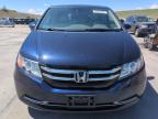 2014 Honda Odyssey Exl zu verkaufen in Littleton, CO - Hail