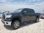 2013 Toyota Tundra Crewmax Sr5 на продаже в Taylor, TX - Hail