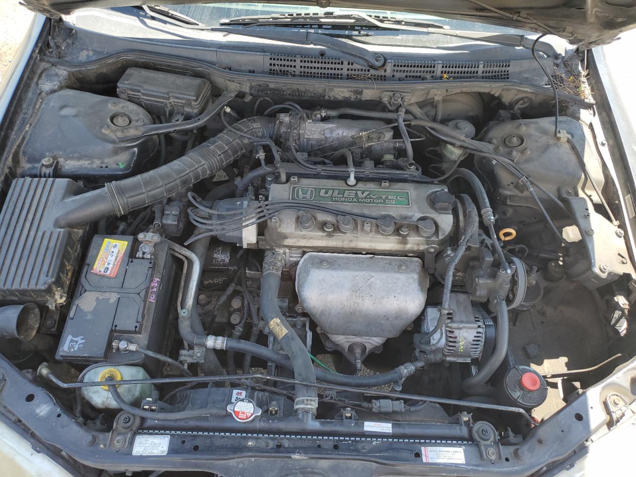 2001 Honda Accord Lx VIN: JHMCG66501C014686 Lot: 55479965