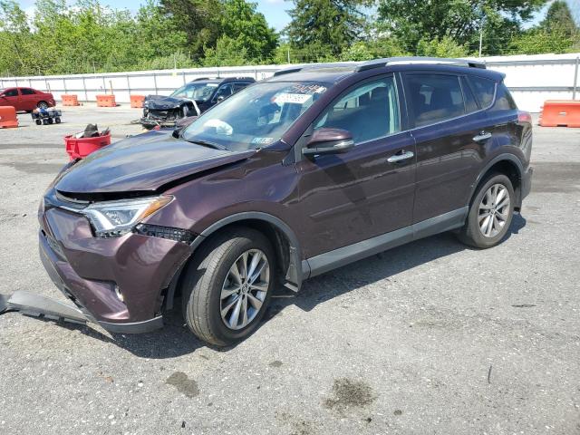 Паркетники TOYOTA RAV4 2017 Фиолетовый