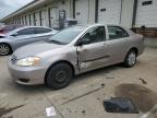 2003 Toyota Corolla Ce   продається в Louisville, KY - Side