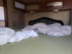 2011 Keystone Challenger Outback for Sale in Chicago Heights, IL - Rollover