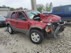 2001 Ford Escape Xlt   de vânzare în Wayland, MI - Front End
