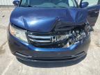 2014 Honda Odyssey Exl იყიდება Lexington-ში, KY - All Over