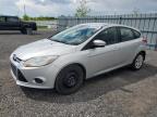 2013 Ford Focus Se იყიდება Ottawa-ში, ON - Hail