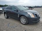 2016 Cadillac Srx Luxury Collection for Sale in Madisonville, TN - Front End