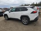 2024 TOYOTA RAV4 XLE à vendre chez Copart ON - TORONTO