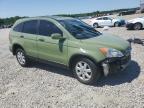 2009 Honda Cr-V Exl   de vânzare în Memphis, TN - Front End