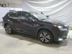 Candia, NH에서 판매 중인 2021 Lexus Nx 300 Base - Side