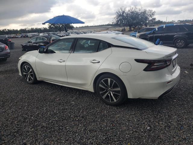  NISSAN MAXIMA 2023 White