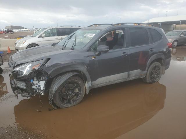 SUBARU FORESTER W 2024