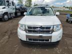 2012 Ford Escape Limited for Sale in Columbia Station, OH - Rear End