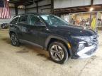 Windsor, NJ에서 판매 중인 2025 Hyundai Tucson Sel - Rear End