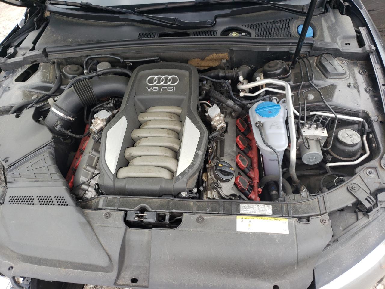 2010 Audi S5 Prestige VIN: WAUVVAFRXAA042672 Lot: 56368645