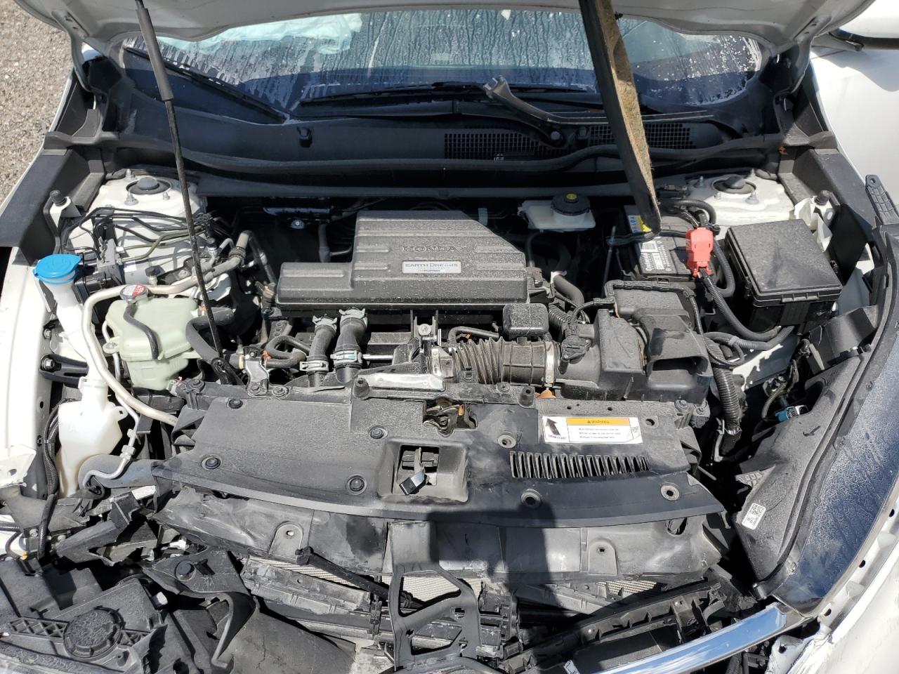 2019 Honda Cr-V Exl VIN: 2HKRW1H82KH510667 Lot: 56022625