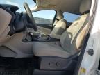 2019 Ford Escape Se за продажба в Orlando, FL - Minor Dent/Scratches