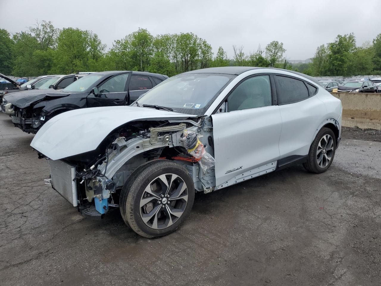 FORD MUSTANG – zdjęcie z aukcji, lot #57303155