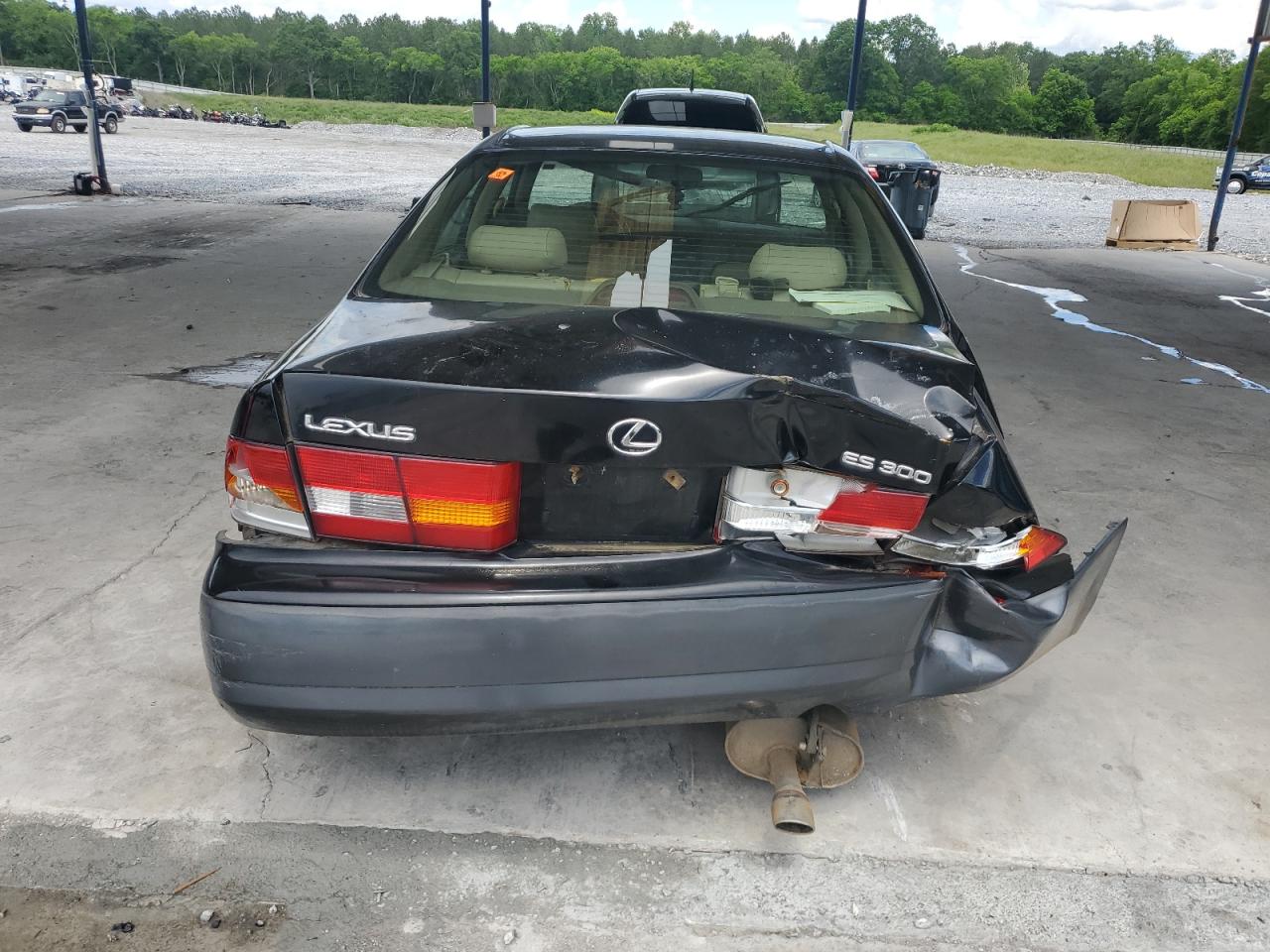 1998 Lexus Es 300 VIN: JT8BF28G7W5048920 Lot: 56391015